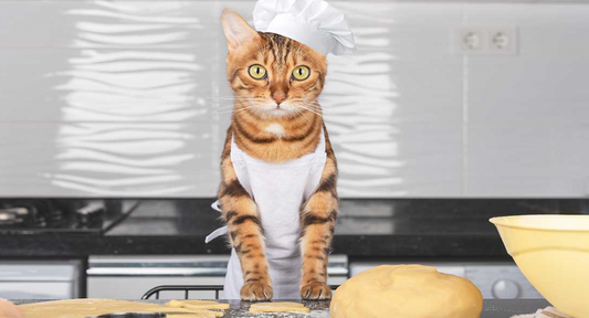 Allergen-Free Treats: A Scientific Approach to Homemade Cat Treats for Sensitive Cats