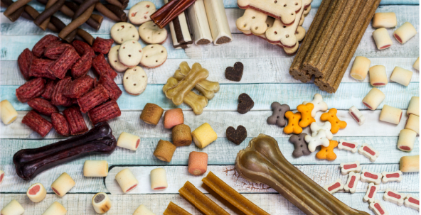 Homemade vs. Store-Bought Dog Treats: A Nutritional Showdown